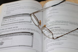 乐鱼体育app官方登录入口-中小学体育安全教育实施效果评估研究,中小学体育评估体系