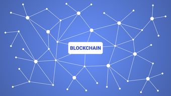 乐鱼体育下载-英超青训引入虚拟现实技术强化战术理解和实战演练，英超本土青训规则