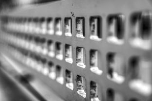 乐鱼体育下载-高校运动训练科学管理模式创新实践，运动训练科研管理工作要求